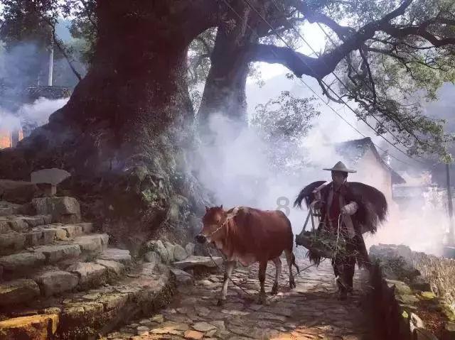 地狱天使