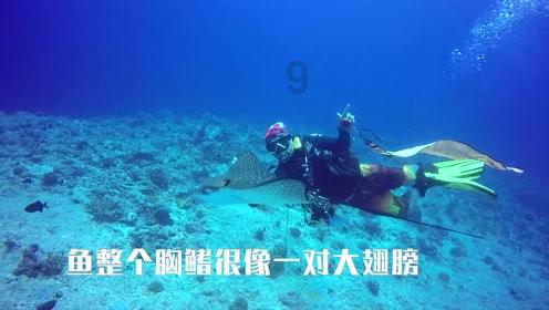 考核结果公布！吴江前三是……