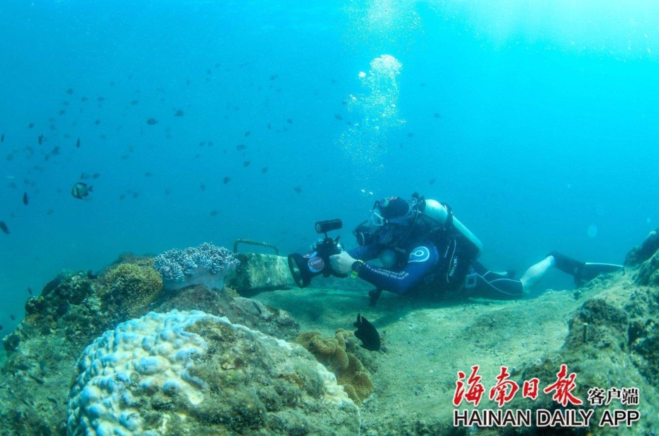逃离泰莱森林